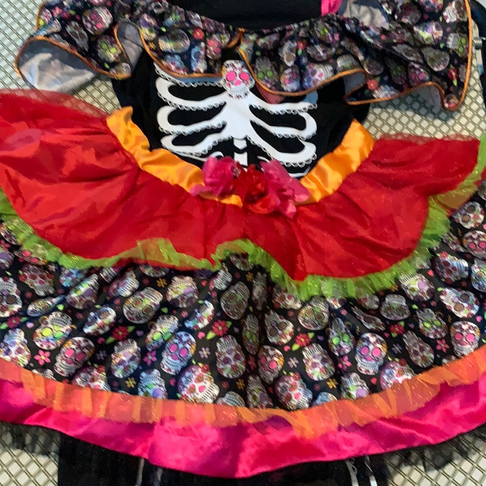 Sugar skeleton